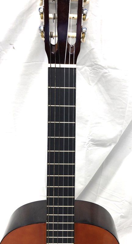 Marigold 6020 Brown 6-String Acoustic Guitar