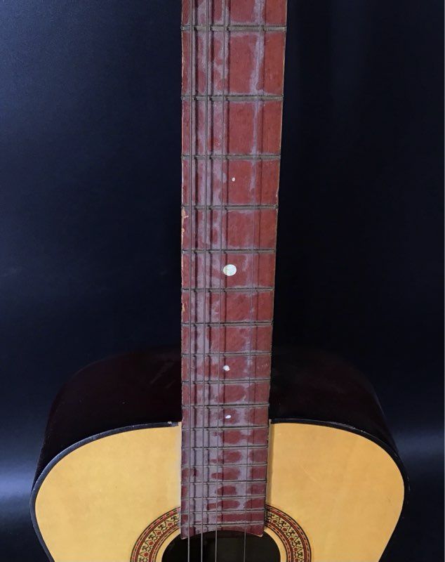 Tele-Star Brown 6-String Acoustic Guitar