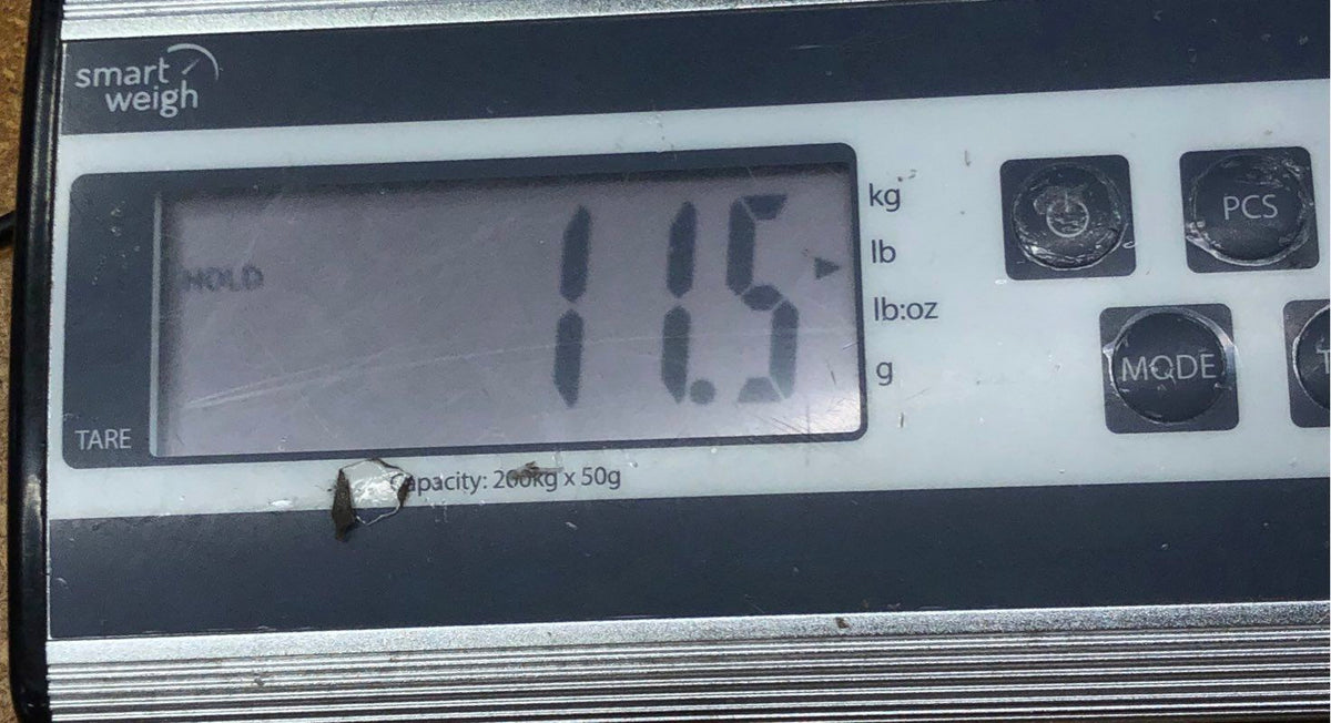 11.5 Lbs. Lot Of Topps Baseball Basketball & More Cards. Medium Box, Unsorted