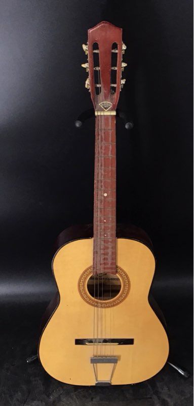 Tele-Star Brown 6-String Acoustic Guitar