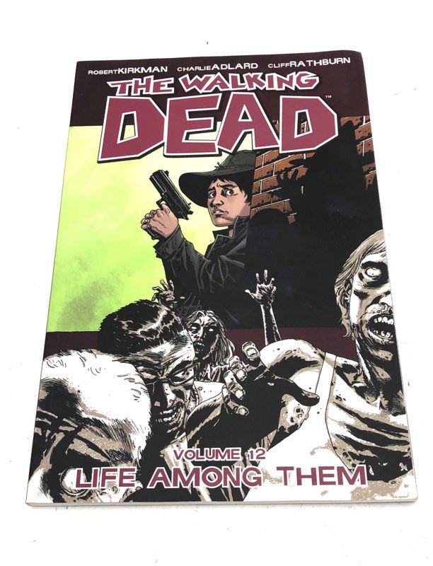 The Walking Dead Comic Book Lot Image Comics Modern Age Horror