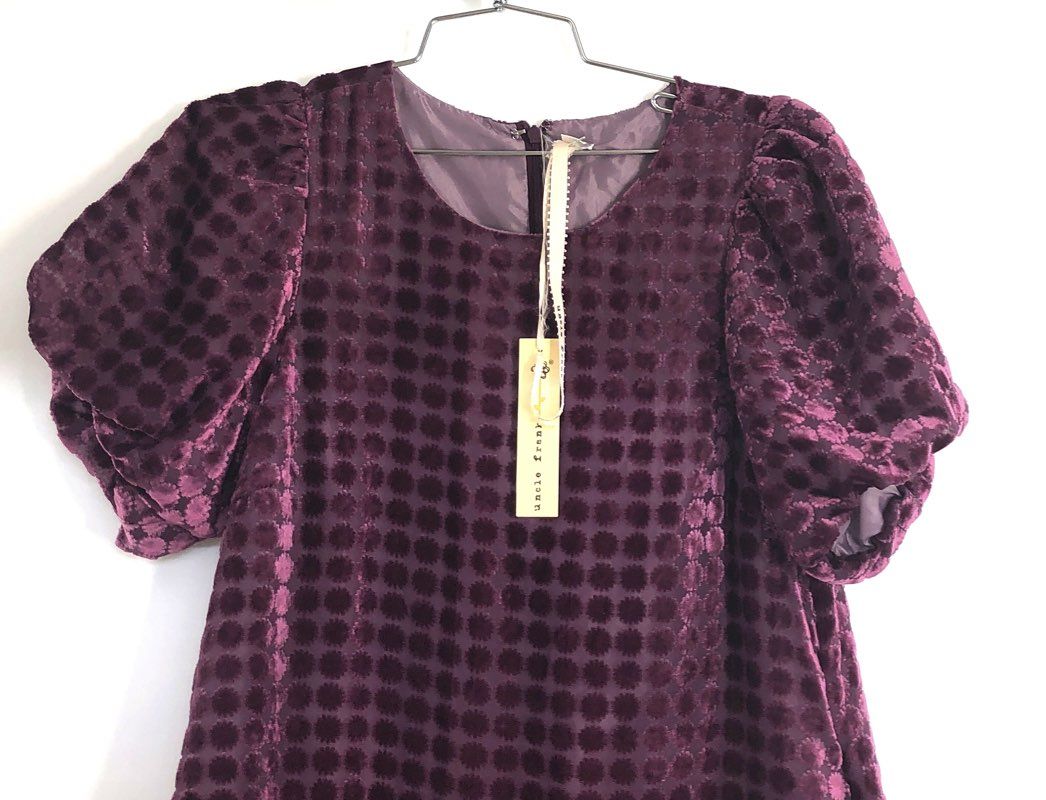 Uncle Frank Women's Audie Plum Burnout Velvet Dot Drop Waist Dress XS NWT