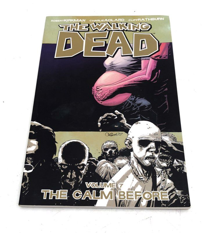 Graphic Novel Lot Image Comics 2000s-2010s Horror Walking Dead 16 Comics