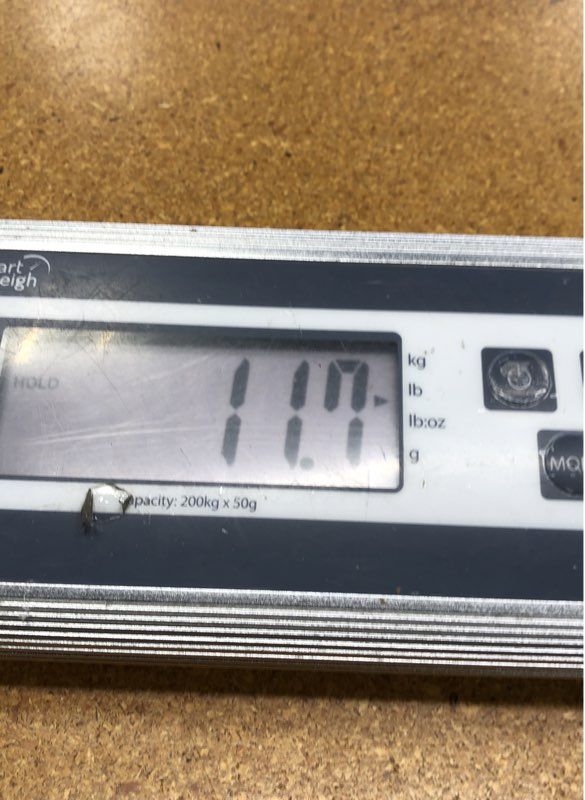 11.7 lbs. Lot Of Baseball Cards. Medium Box, Unsorted