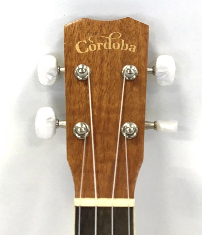 Cordoba 15CM 4 String Acoustic Guitar With Case