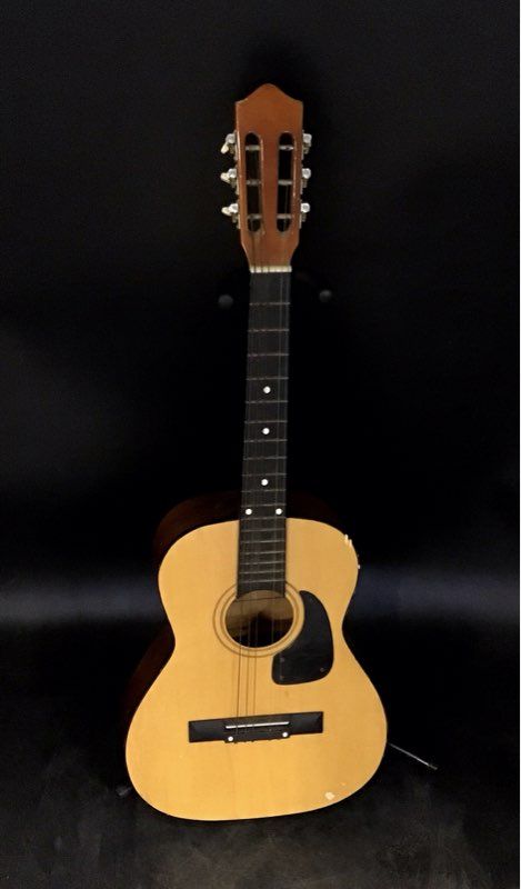 Synsonics FG908N Musical Instrument Acoustic Guitar