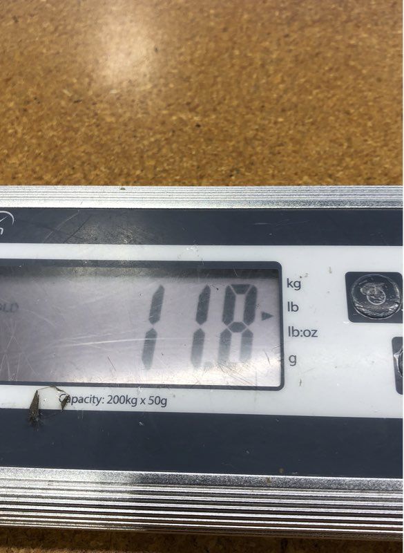 11.8 Lbs. Lot Of Mixed Sports Baseball Football Cards. Medium Box, Unsorted