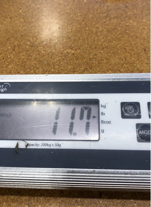 11.7 Lbs. Lot Of Mixed Sports Baseball Basketball Cards. Medium Box, Unsorted