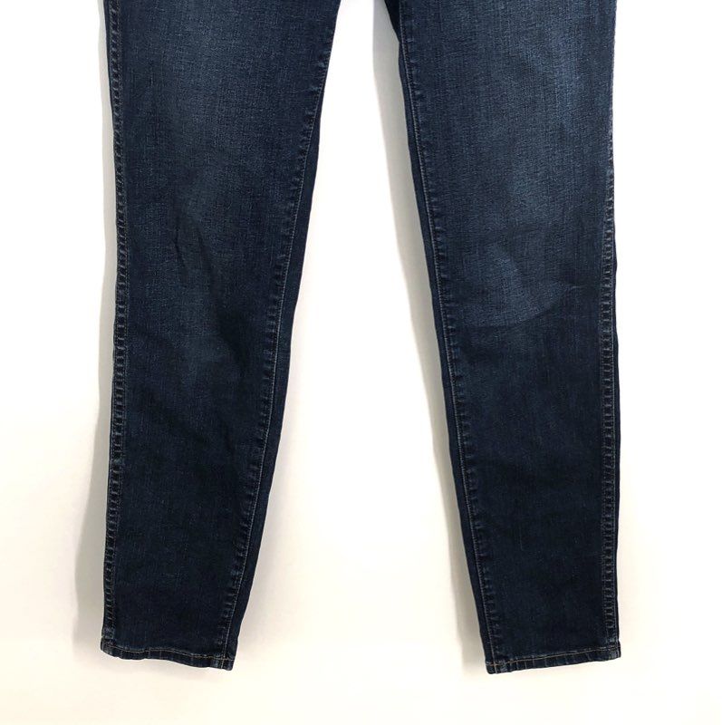 Madewell Women's 10" High-Rise Skinny Jeans Dark Wash Indigo Sz 27