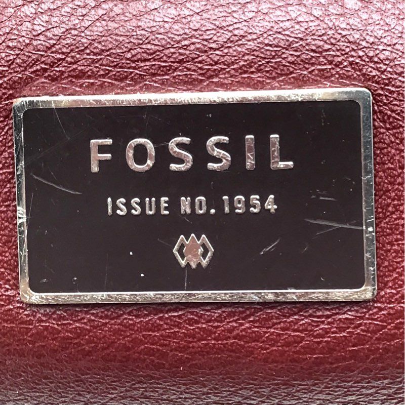 Fossil Multicolor Crossbody Bag