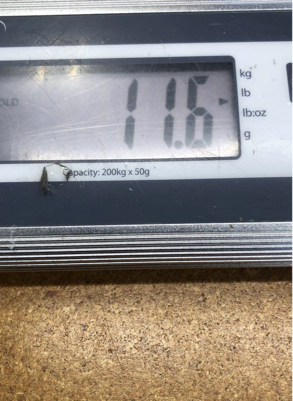 11.6 Lbs. Lot Of Mixed Sports Baseball Football Cards. Medium Box, Unsorted