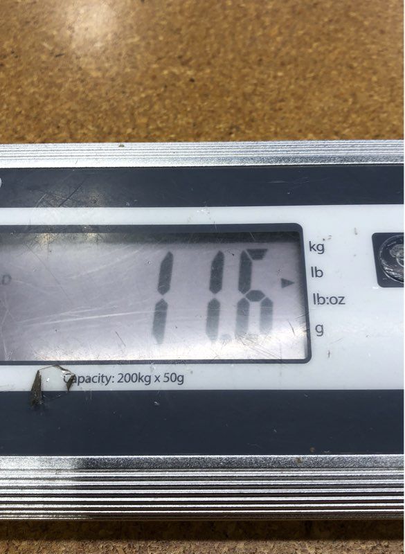 11.6 lbs. Lot Of Mixed Sports Baseball, Basketball, Cards. Medium Box, Unsorted