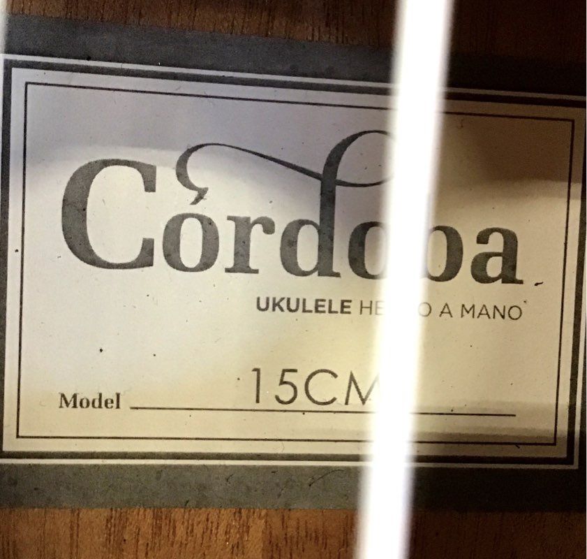 Cordoba 15CM 4 String Acoustic Guitar With Case