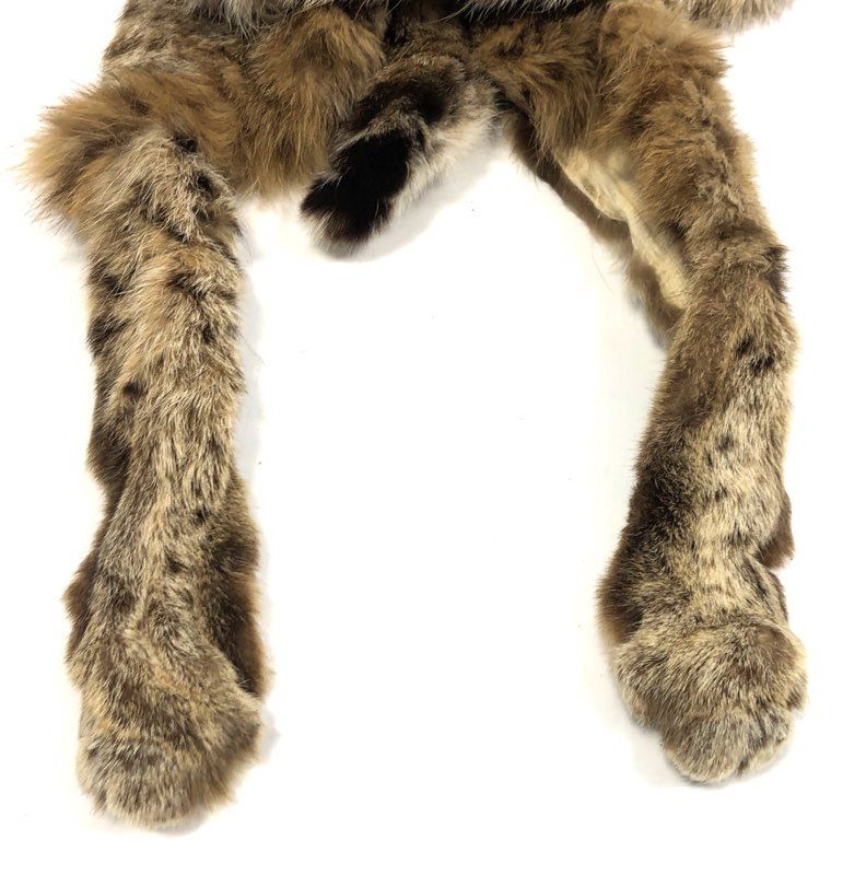 Tanned Bobcat Hide Full Body Pelt Intact Taxidermy Craft Supply Lynx Rufus
