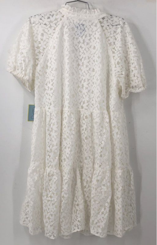 NWT Cece Women's Ivory A-Line Dress - Size 1X