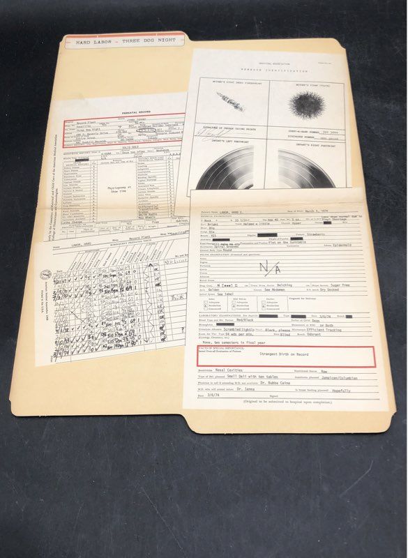 Hard Labor By Three Dog Night Vinyl Record