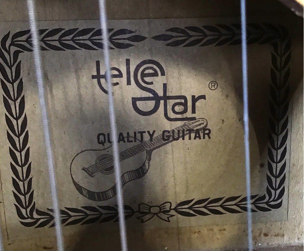 Tele-Star Brown 6-String Acoustic Guitar