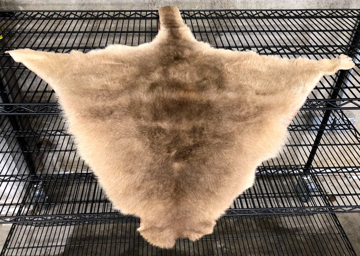 Genuine Australian Kangaroo Tan/Brown Whole Pelt/Hide with Fur - 60&quot; x 38&quot;