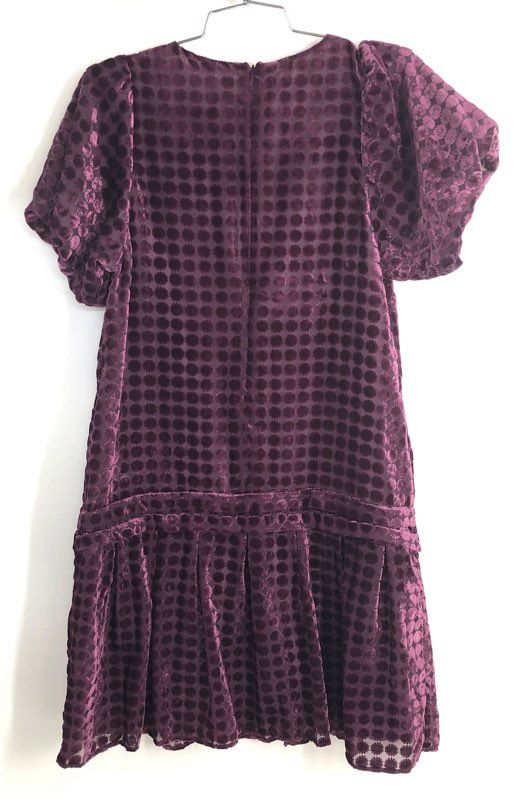 Uncle Frank Women's Audie Plum Burnout Velvet Dot Drop Waist Dress XS NWT