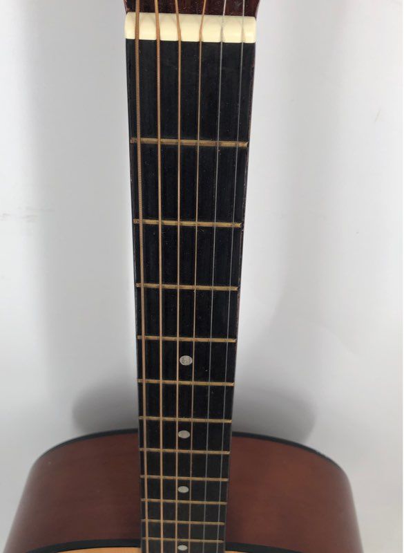 Hohner HW200 Brown 6 String Acoustic Guitar With Case