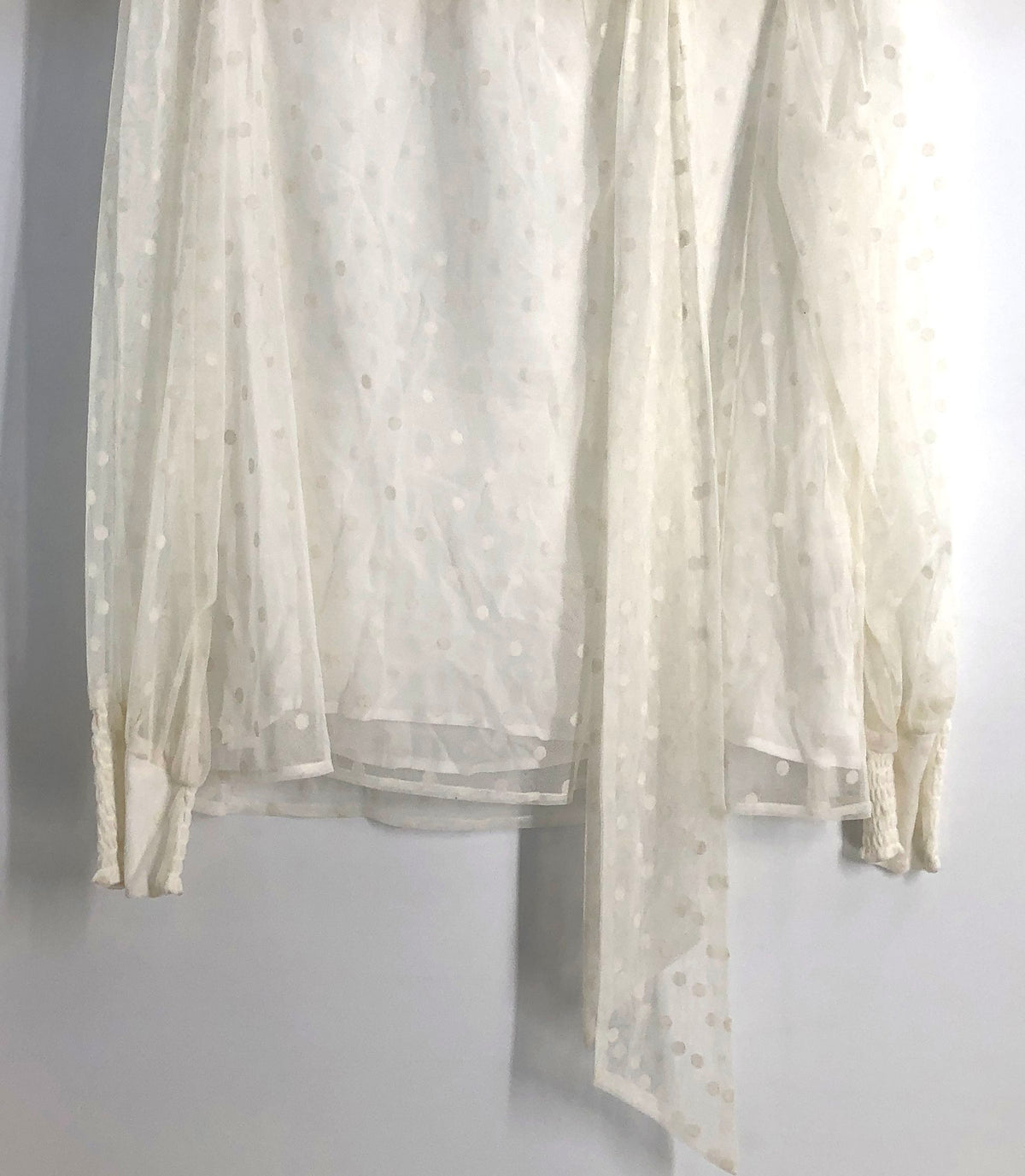 Maeve Anthropologie Women's Ivory Polka Dot Sheer Tie Neck Blouse Sz M NWT