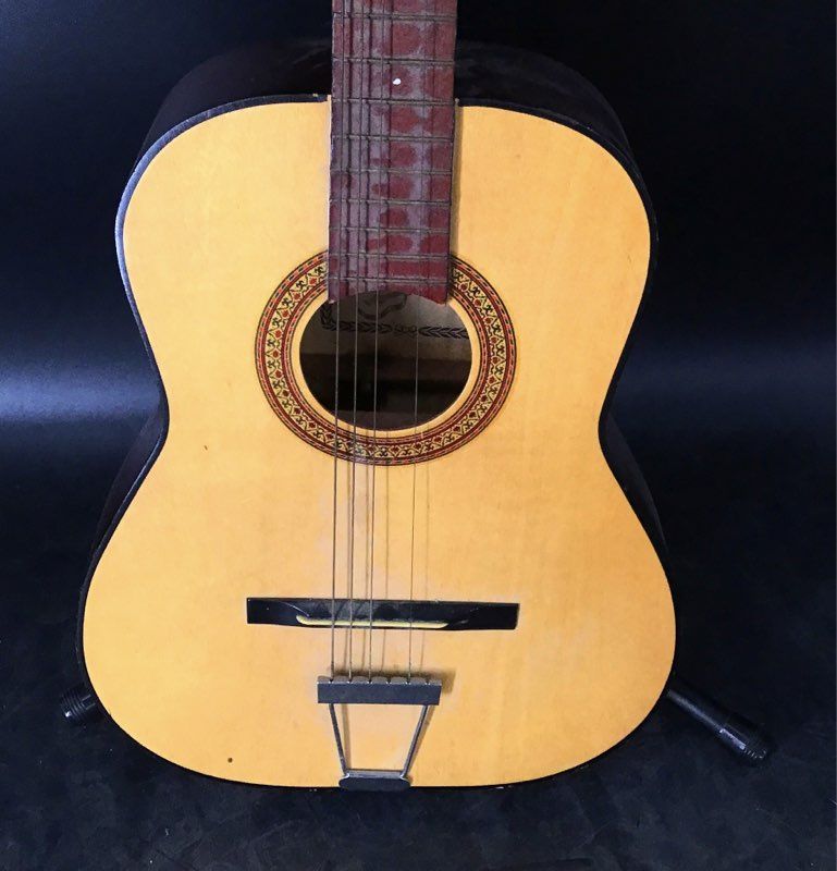 Tele-Star Brown 6-String Acoustic Guitar