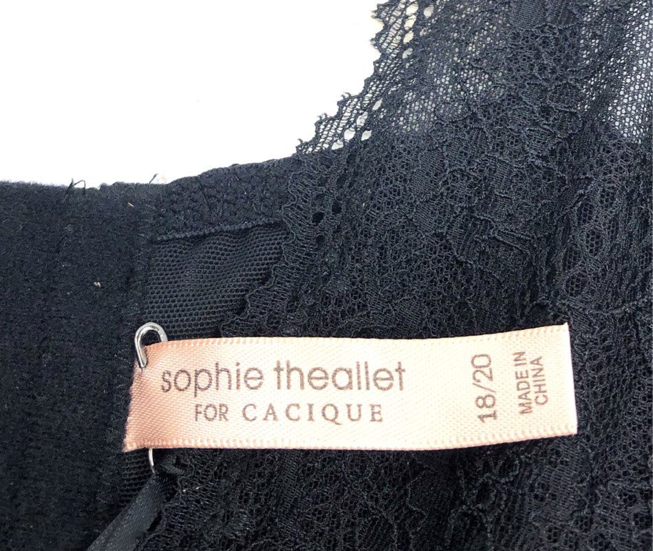 Sophie Theallet for Cacique Women's Lingerie Slip Red Lace Pleated Sz 18/20 NWT