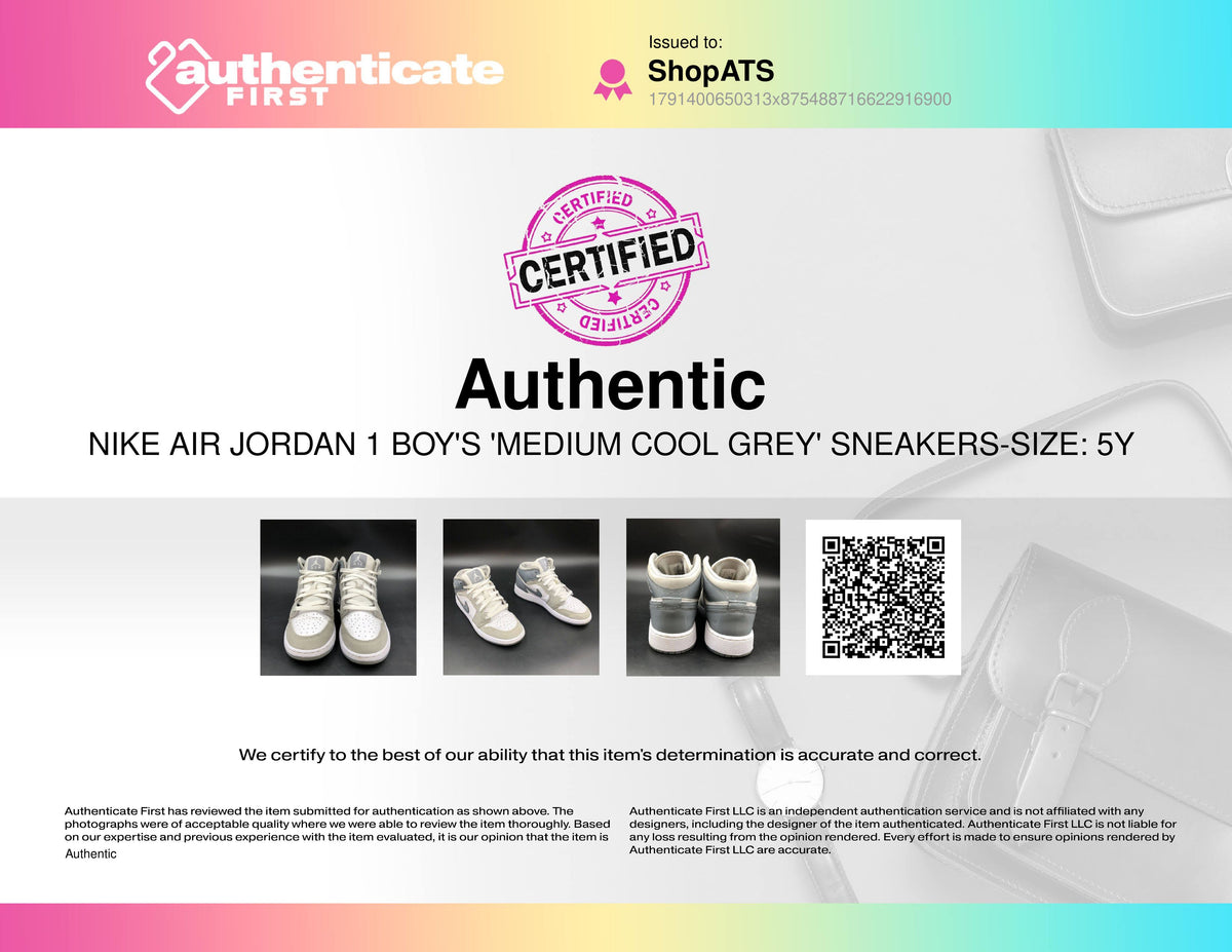 Nike Air Jordan 1 Boy's Medium Cool Grey Sneakers Size 5Y COA