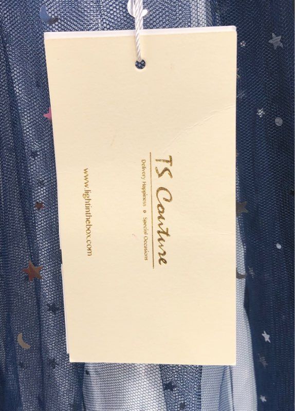 TS Couture Women's Blue Constellation Velvet Ombre Tulle Maxi Dress M NWT