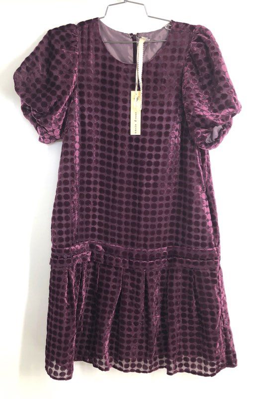 Uncle Frank Women's Audie Plum Burnout Velvet Dot Drop Waist Dress XS NWT