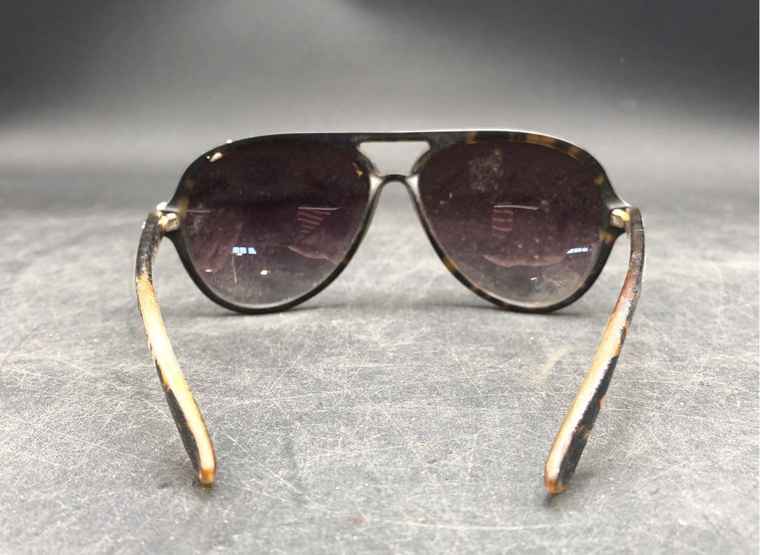 Ray-Ban Men's Black Brown Aviator Sunglasses